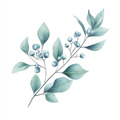 Watercolor painting of a delicate sprig with teal berries and leaves on white background.