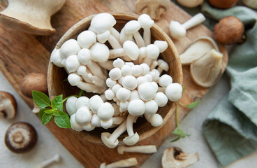Assortment of various raw mushrooms on gray concrete background.