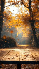 Bright Yellow Podium with Natural Autumn Backdrop