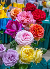 Bouquet of bright yellow, red, purple and pink roses, close-up, beautiful flower, interesting background