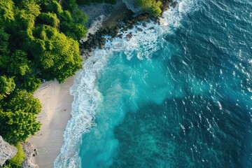 Obraz premium Aerial view of a beach surrounded by trees
