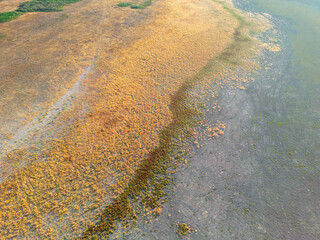Photo of Karatas lake in Burdur dried up due to drought caused by global warming