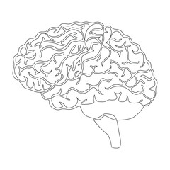 Continuous line art of a of a human brain.