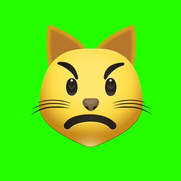 Animated Facebook emoji of annoyed cat face