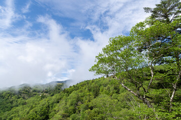 青空が広がる夏の高原　富士見台高原