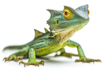 Fototapeta premium Close-up of a Green and Yellow Lizard with Sharp Claws