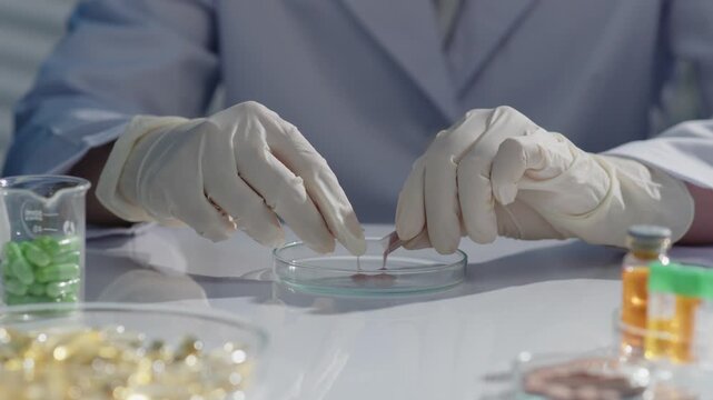 Scene of a drug experiment, the researcher splits a capsule and pours it into a petri dish placed on white table. Flanked by various laboratory supplies and several other drugs. Front view, copy space