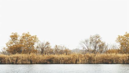 Tranquil Riverbank with Autumnal Trees and Reeds