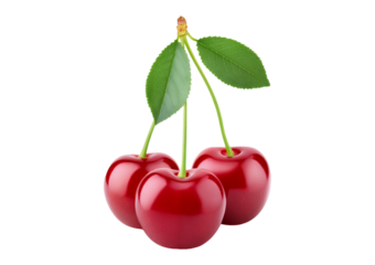 Three shiny red cherries with green leaves, connected by stems, isolated on a transparent or white background