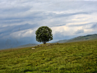 Beautiful mountains of Durmitor National Park in Montenegro