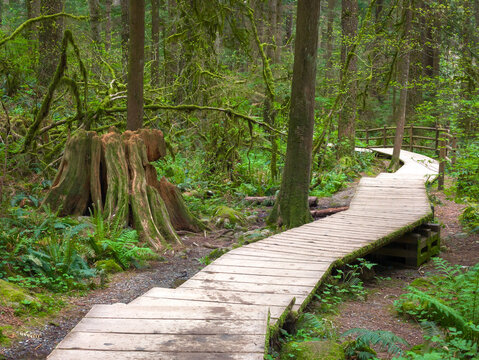 Baden Powell Trail
