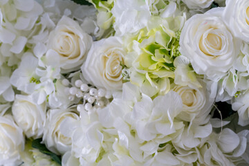 Gentle light background of white flowers. Soft and selective focus