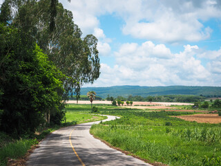 Countryside road route in Thailand, farm view 

