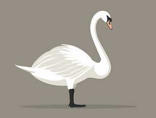 Fototapeta premium Elegant swan standing gracefully clipart, flat art, simple cartoon 2D emblem
