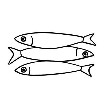 Sardine clip art preview