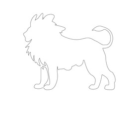white dog isolated on white