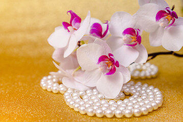 A branch of white orchids on a shiny gold background