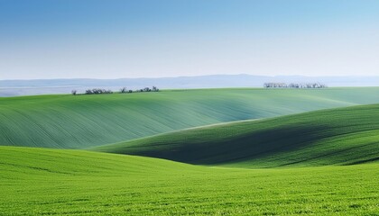 Obraz premium Fresh green fields in spring with a blue sky backdrop on a hill 