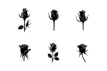 Set of Rose silhouette vector illustration.