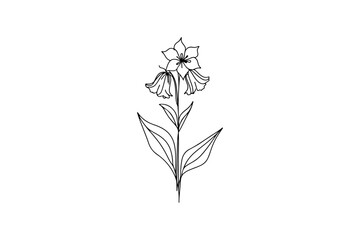 Illustration of a Bluebell flower.