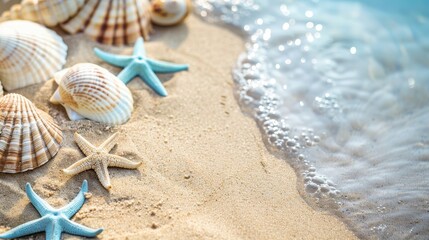 Obraz premium Seashells and starfish lie scattered on golden sand next to gentle ocean waves