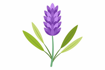 Fototapeta premium Purple Flower with Green Leaves on a White Background
