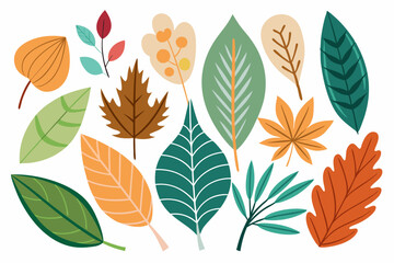 Collection of Colorful Autumn Leaves with Varying Shapes and Textures