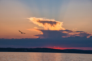 Sonnenuntergang am Bodensee