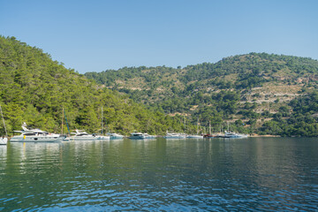 Yachts and sailboats moored in a picturesque bay among green hills and pine forests