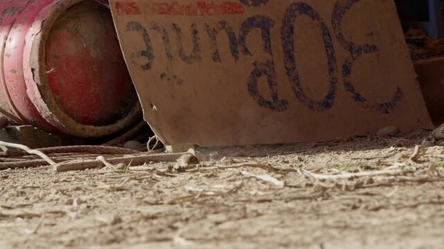Haussperlinge gefiederpflege Baden im Sand