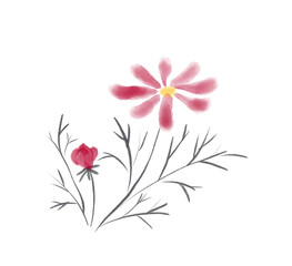 コスモスの墨彩画 コスモスのイラスト素材