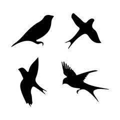 Bird Silhouette vector art Illustration.