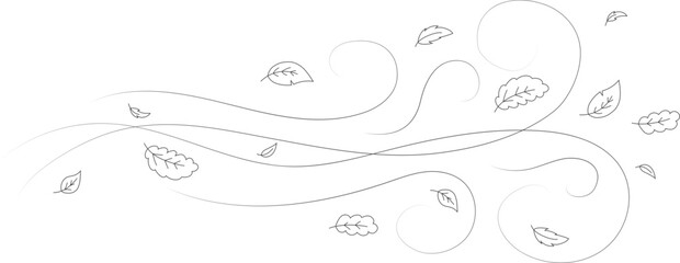 Fototapeta premium Doodle autumn leaves flying in the wind. Falling season outline backdrop, air flow leaves wave linear pattern or wind blowing doodle vector print. Autumn windy weather hand drawn monochrome background