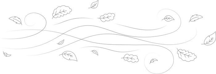 Fototapeta premium Doodle autumn leaves flying in the wind. Falling season outline backdrop, air flow leaves wave linear pattern or wind blowing doodle vector print. Autumn windy weather hand drawn monochrome background