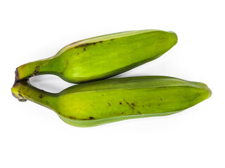 Two green bananas on a white background. Two fresh, unripe bananas. Two Kepok bananas or Pisang Kepok isolated on white.