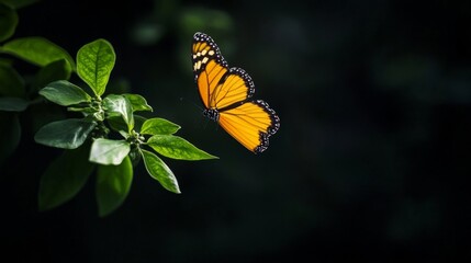 A yellow and black butterfly with wings outstretched, flying past green leaves against a dark background.