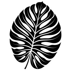 Monstera tropical plant leaf vector svg