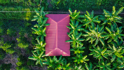 Land used for agriculture in Vietnam, Asia, seen from above