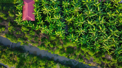 Land used for agriculture in Vietnam, Asia, seen from above