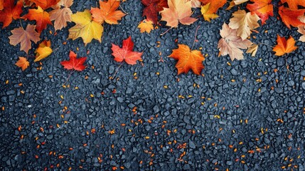 Top view of colorful maple leaves on asphalt floor autumn season background