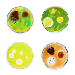 Set of Petri dishes with different bacteria colonies on white background, top view