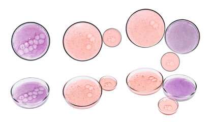 Set of Petri dishes with liquid samples on white background, top and side views