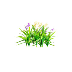 Orchid plants isolated Canvas