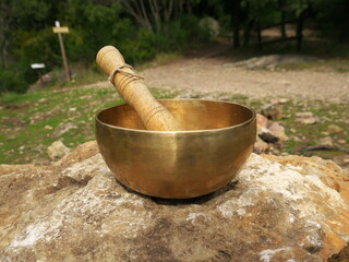 Singing bowl on a large rock with nature in the background
