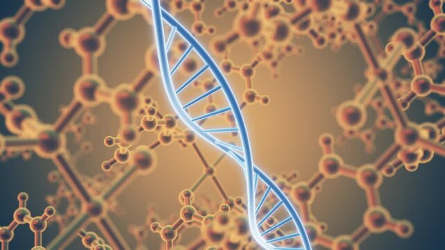 Molecular and helix structure of DNA