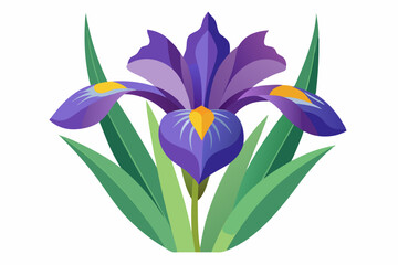 Naklejka premium A Purple Iris Flower with Green Leaves
