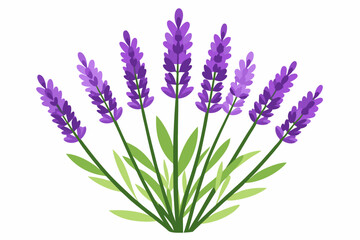 Naklejka premium Purple Lavender Flower Bouquet with Green Leaves