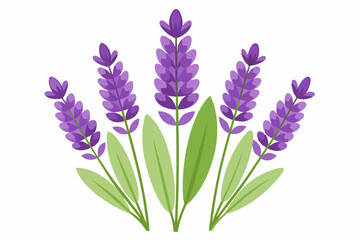 Fototapeta premium A Bouquet of Lavender Flowers with Green Leaves