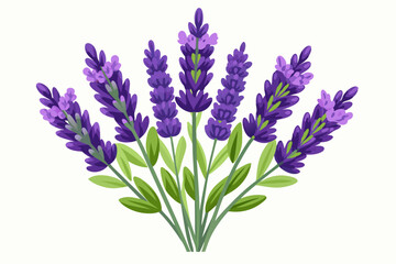 Fototapeta premium A Bouquet of Purple Lavender Flowers with Green Leaves