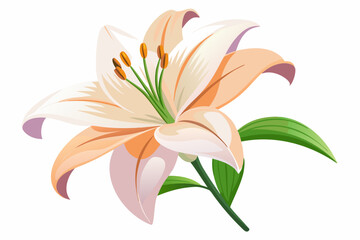 Naklejka premium A Single Delicate Peach-Colored Lily Flower with Green Stem and Leaves